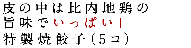 特製焼餃子（5コ）